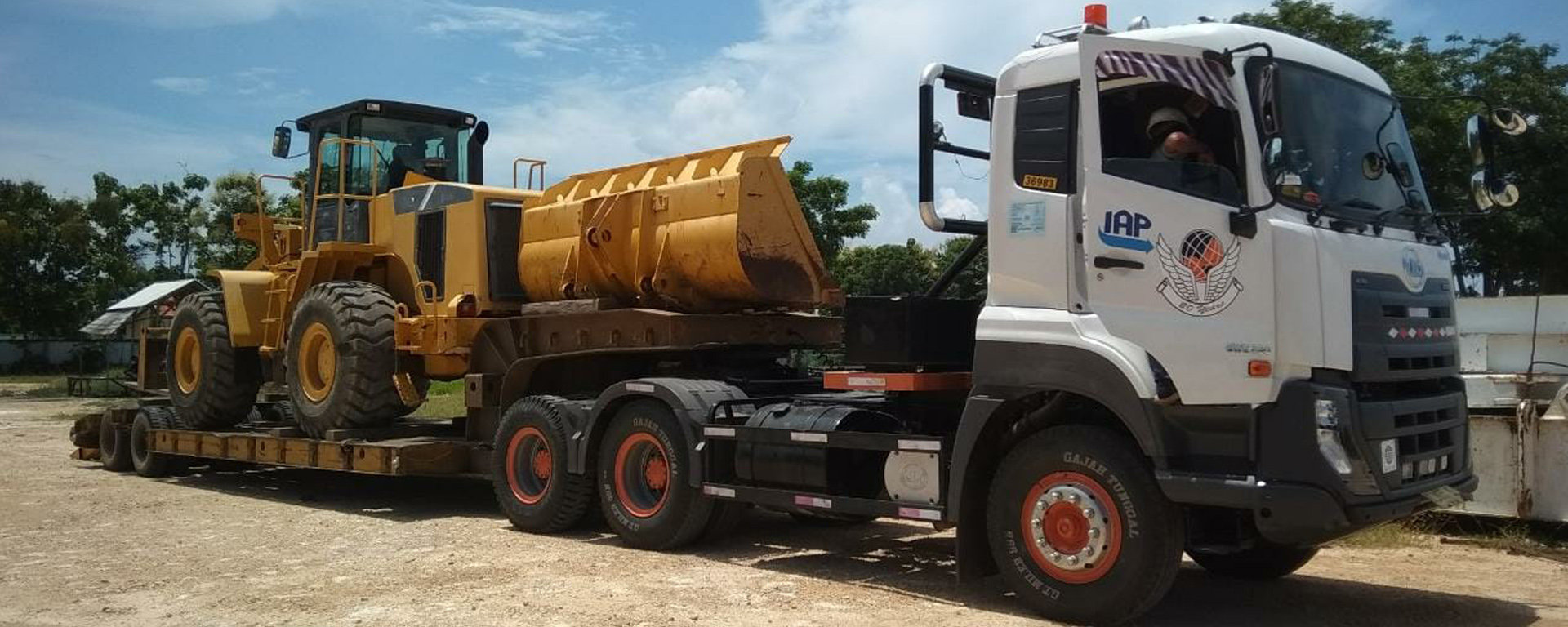 Classification Services